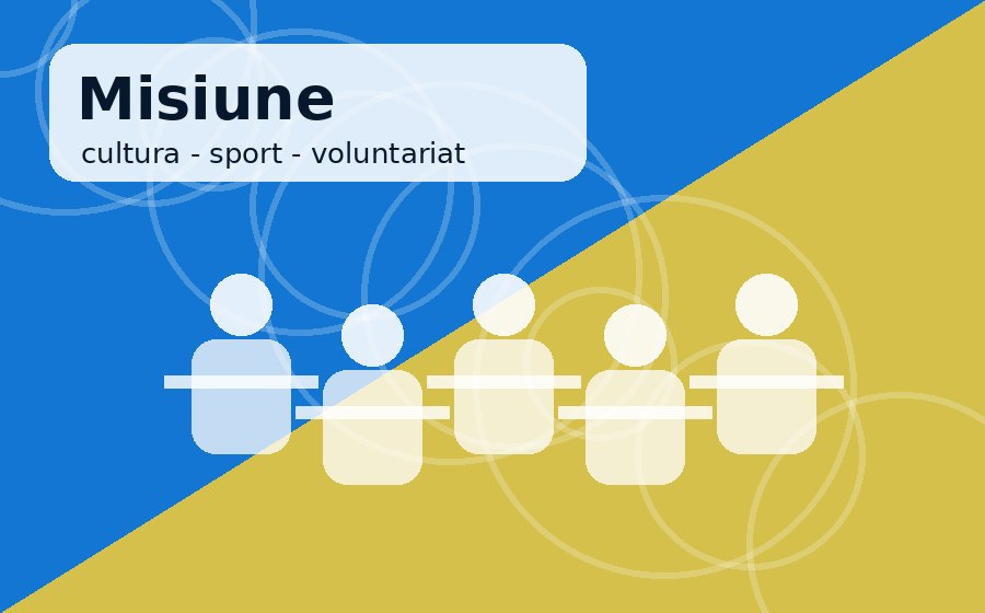 Misiunea Dinamic Arad pentru cultura sport voluntariat si comunitate