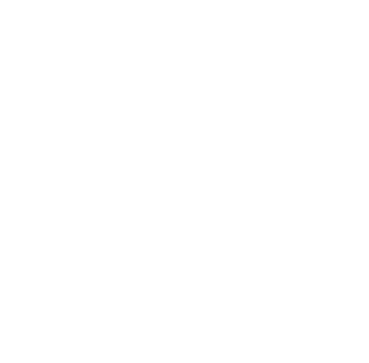 Logo Dinamic Arad footer